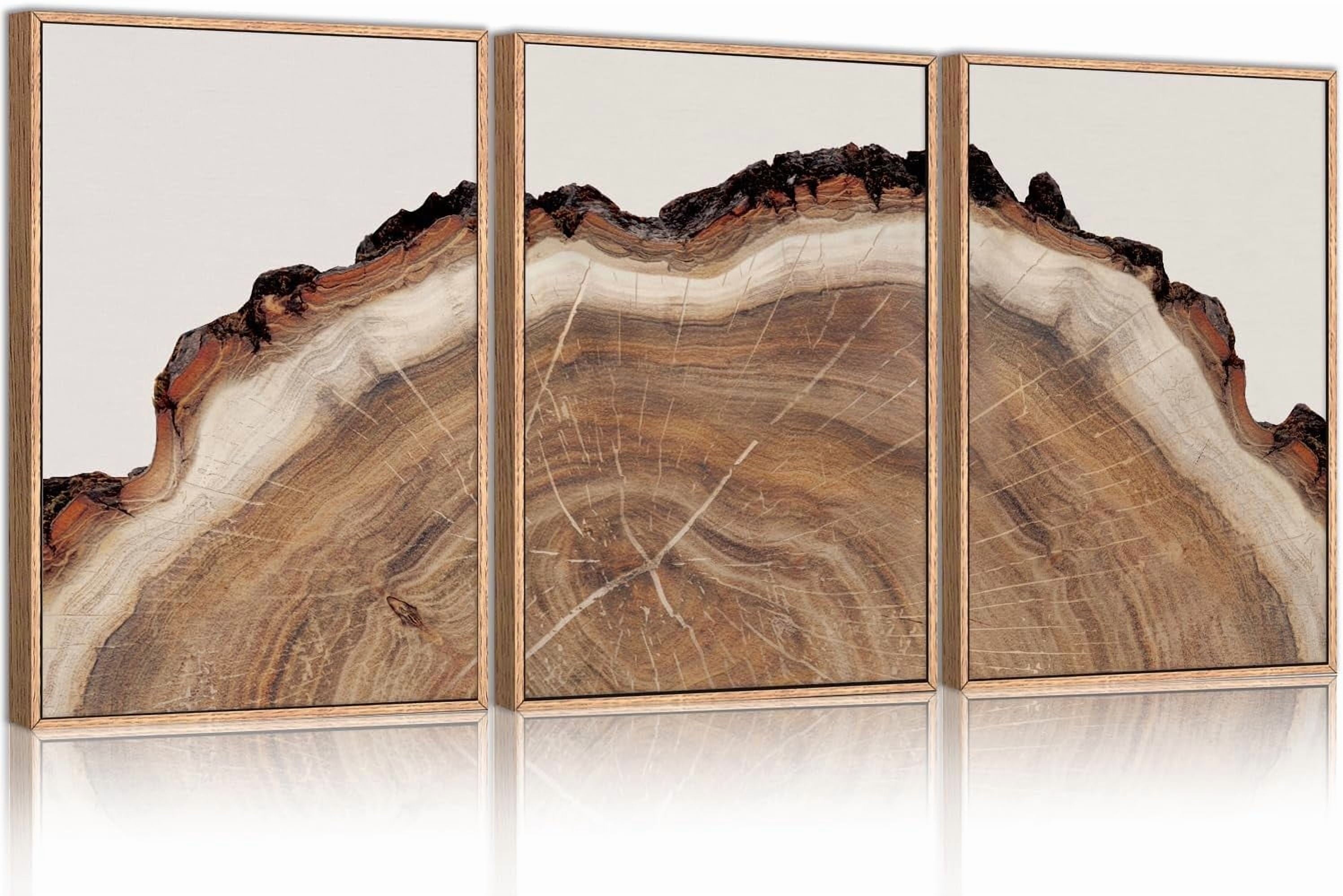 Tree Rings Wood Wall Art Framed Set, Modern Beige Wood Stump Wall Decor, Abstract Tree Spiral Wall Painting,Nature-Inspired Art Print for Living Room, Bedroom, Dining Room, Office-16 x24 x3
